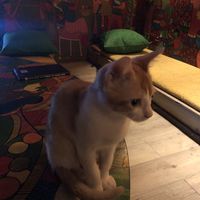   at Jatra Biroti in Dhaka