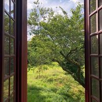 View from the other side of the double bedroom window. at La Cure du Maine Charles in Birac