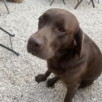   at La Maison Papillons in Montclus