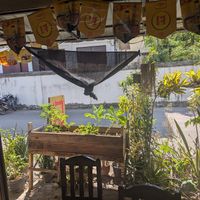  at Jay Khang Wat in Lamphun