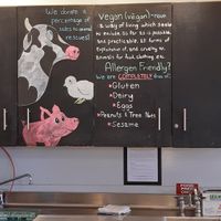 Info at Jennifer Lee's Gourmet Bakery in Boston