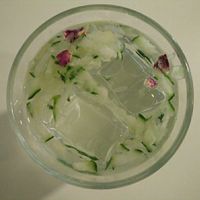 mint beverage at BaniBanoo in Madrid