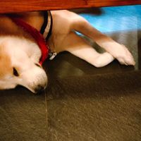  at Chay Umi in Berlin