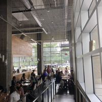 Lots of windows, bright and clean. at Living Kitchen in Raleigh