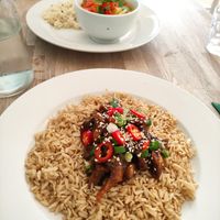 Mushroom fusion with brown rice and thai curry at The Cornish Vegan in Truro