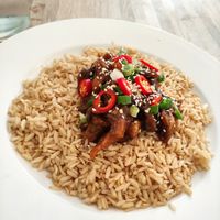 Mushroom fusion at The Cornish Vegan in Truro