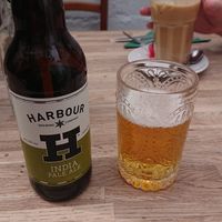 Harbour pint at The Cornish Vegan in Truro