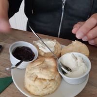 cream tea at The Cornish Vegan in Truro