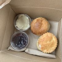 Cream tea! at The Cornish Vegan in Truro