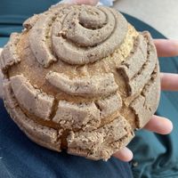 Concha.  at El Palote Panaderia in Dallas