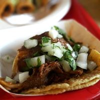 Chicharron Taco at El Palote Panaderia in Dallas