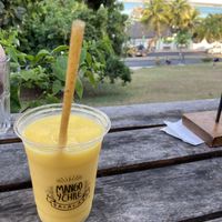 Mango smoothie  at Mango y Chile in Bacalar