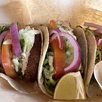 Taco falafel   at Mango y Chile in Bacalar