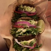 Falafel tacos!!   at Mango y Chile in Bacalar