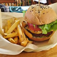 Maya burger at Mango y Chile in Bacalar