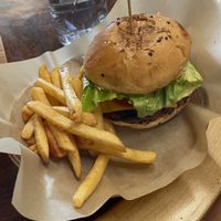   at Mango y Chile in Bacalar