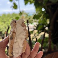   at Mango y Chile in Bacalar