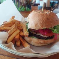  at Mango y Chile in Bacalar