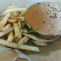 falafel burger at Mango y Chile in Bacalar