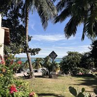   at Mango y Chile in Bacalar