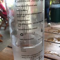 Jungle Rain purified water at Mango y Chile in Bacalar