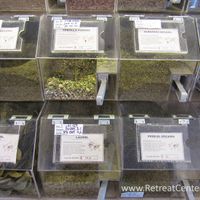 herbs at Granel Gourmet in Bogota