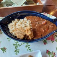 Vegan curry at Flowerish in Nara