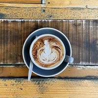 Mocca   at Nagev in Evandale