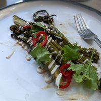  at EVO Restaurant and Bar in Portland