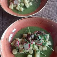 gnochi with pea souse and mashrooms at VeganFresh Hotel & Restaurant in Medvode