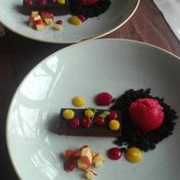 chocolate ganash with raspberry ice creame and fruit drips at VeganFresh Hotel & Restaurant in Medvode