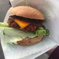 Classic burger with cheese... tastes great!  at Vegan Kiosk in Bratislava
