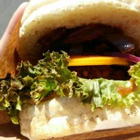 Classic burger with cheese at Vegan Kiosk in Bratislava