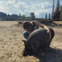 Bellyrub! 🥰  at Ippoasi Animal Sanctuary in San Piero A Grado