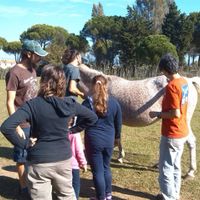 During the visits Liu always makes sure she gets enough attention! at Ippoasi Animal Sanctuary in San Piero A Grado