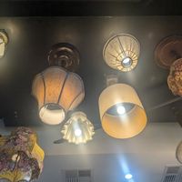  at Health Nuts Shop & Cafe in Sydney