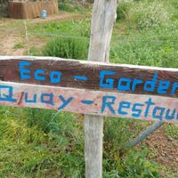 Most of the fresh organic food comes from their own ecological garden.  at Restaurant Quay in Mallorca