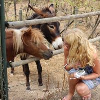 Also part of the "attractions" around the Restaurant Quay: A donkey and a ckeeky pony. at Restaurant Quay in Mallorca