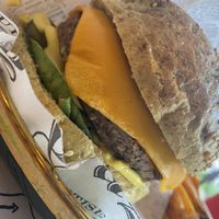   at Sara Green in Bucharest