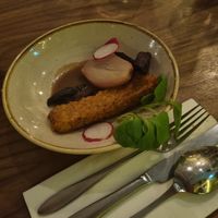 Starter at BROEI in Utrecht