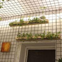 atmosphere at #RAW VEGAN FIRENZE in Florence