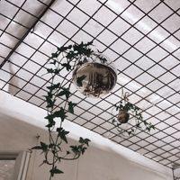 Lovely interieur  at #RAW VEGAN FIRENZE in Florence