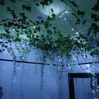  at La Veganesa in Cadiz