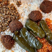  at Zaytoon Mediteranean in Lansing