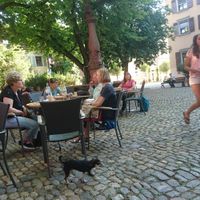 Sitting outside in an adorable quiet square with cobblestones, trees and a fountain. Perfection. at Adelhaus in Freiburg