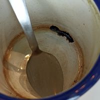  at Wild & The Moon - Wild Lab Gravilliers in Paris