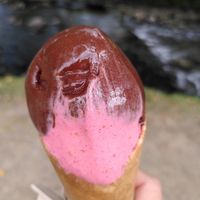 Chocolate and raspberry sorbet (September 2021) at Glaslyn in Beddgerlet
