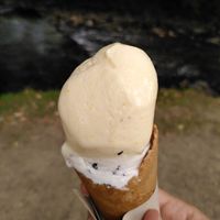 Peach sorbet and coconut (September 2021) at Glaslyn in Beddgerlet