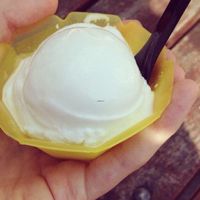 vegan dairy free lemon sorbet at Glaslyn in Beddgerlet