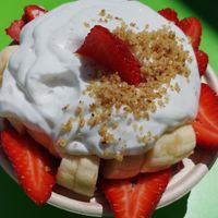 Acai bowl heaven at True Earth Juicery & Vegan Cafe in North Hollywood